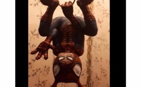 蜘蛛猪模型实物图