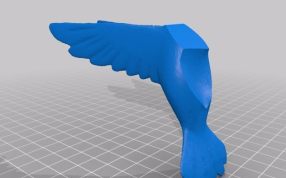  蜂鸟3D模型-翅膀