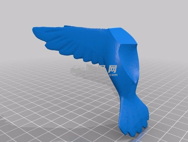  蜂鸟3D模型-翅膀