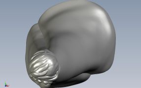 elsa公主 俯视图