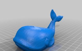 鲸鱼USB和sd卡支架侧视图