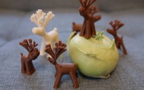 可爱的驯鹿主视图