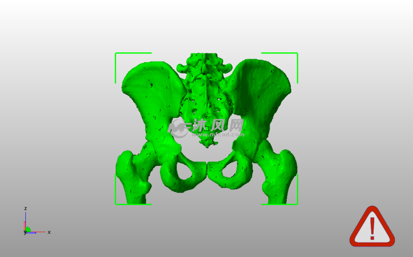 男性骨盆模型主视图