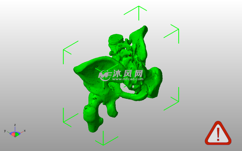 男性骨盆模型斜视图