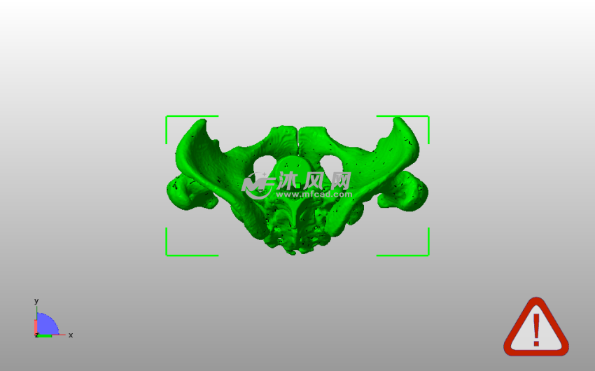 男性骨盆模型俯视图