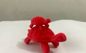 幸运长寿龟实物图