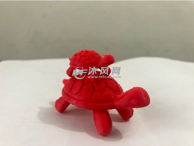 幸运长寿龟实物图