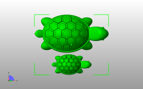 幸运长寿龟俯视图