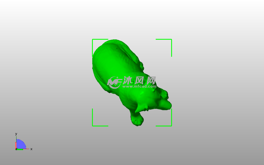 雌性拉布拉多俯视图