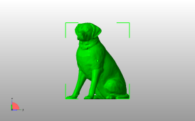 雌性拉布拉多主视图