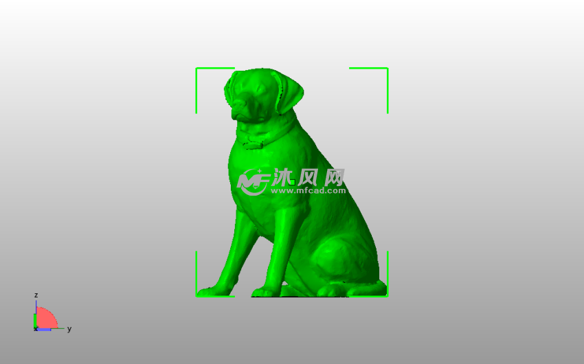 雌性拉布拉多主视图