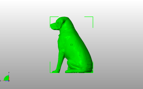 雌性拉布拉多侧视图