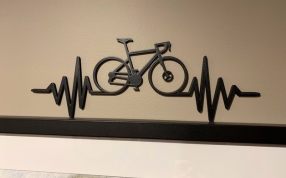 心动自行车实物图