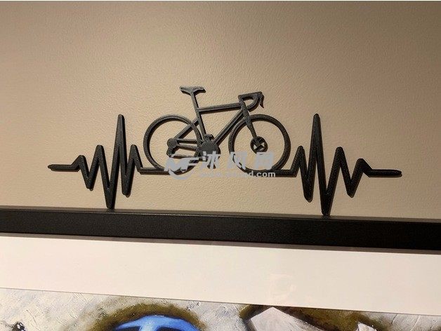 心动自行车实物图