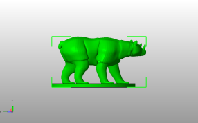 犀牛熊模型侧视图