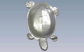 大乌龟模型俯视图