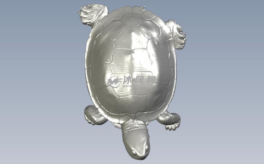 大乌龟模型俯视图