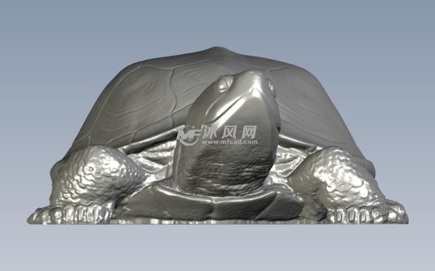 大乌龟模型正视图