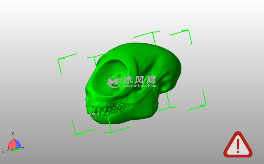 夜猴头骨模型斜视图