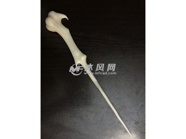 伏地魔的魔杖展示图