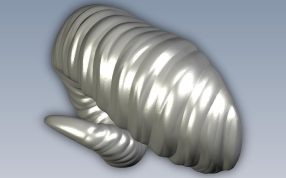 犄角模型俯视图