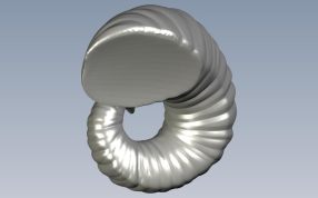 犄角模型侧视图