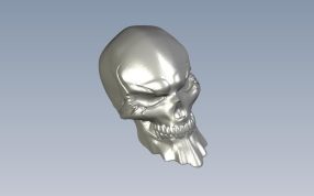 头骨轴测图