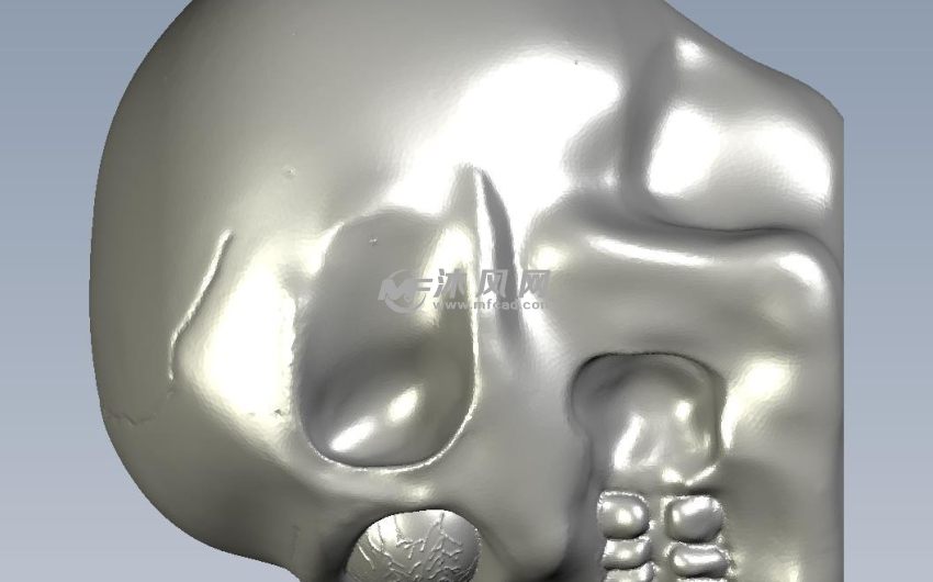 骷髅头灯侧视图