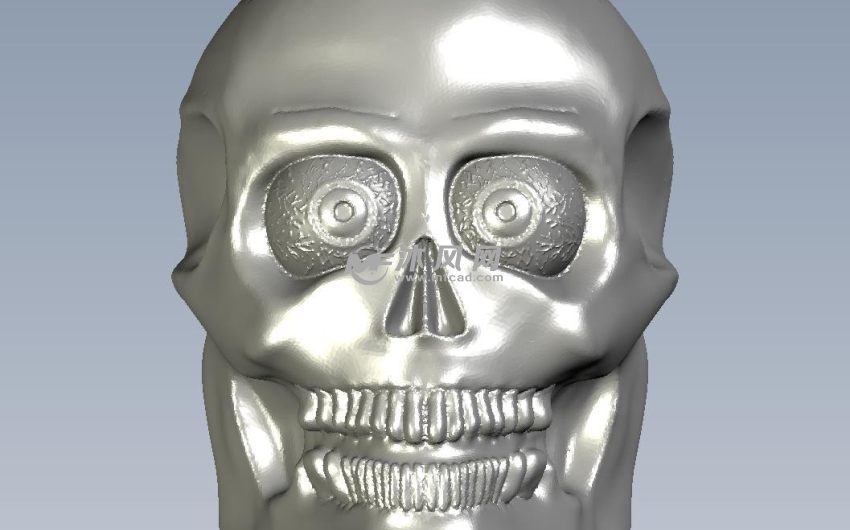 骷髅头灯正视图