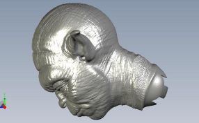 尤达大师头像侧视图