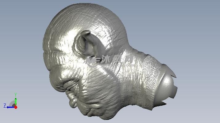 尤达大师头像侧视图