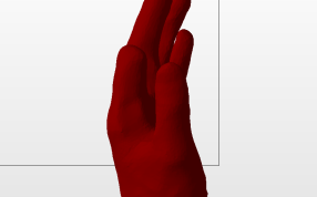 手的假肢模型左视图