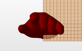 手的假肢模型顶视图