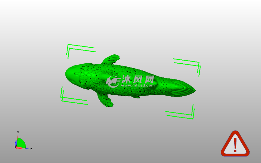  腔棘鱼模型俯视图