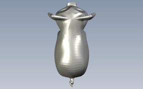 黄金小猪俯视图