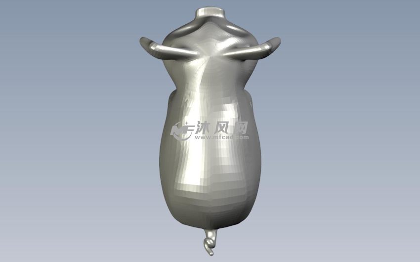 黄金小猪俯视图