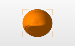 拇指的模型顶视图