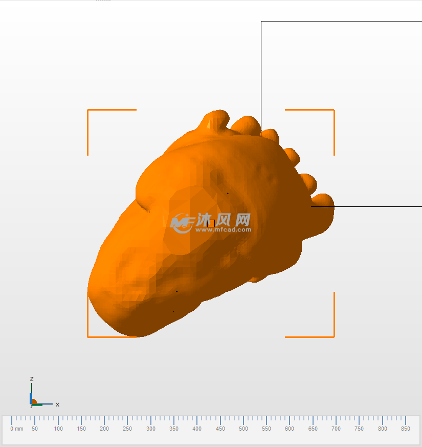 心脏的解剖前视图