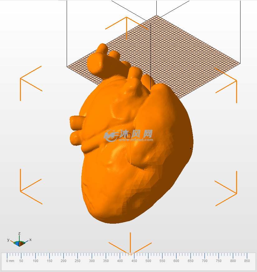 心脏的解剖等轴测试图