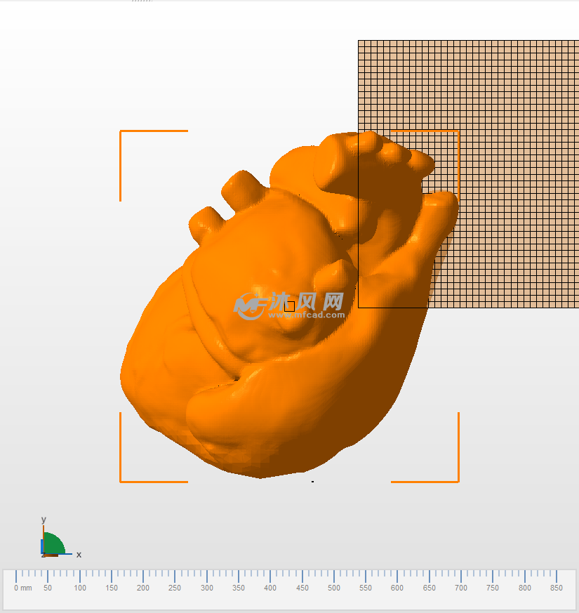 心脏的解剖顶视图