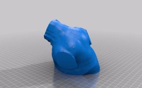 侏罗纪恐龙前胸 