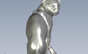 家猫模型后视图