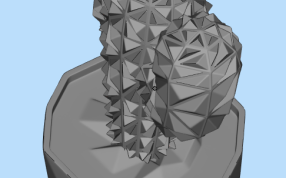 仙人球三维建模