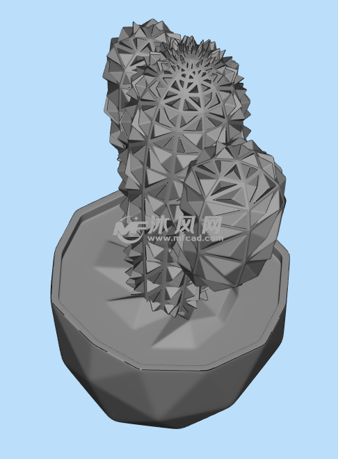 仙人球三维建模