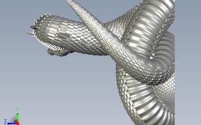 大毒蛇模型侧视图