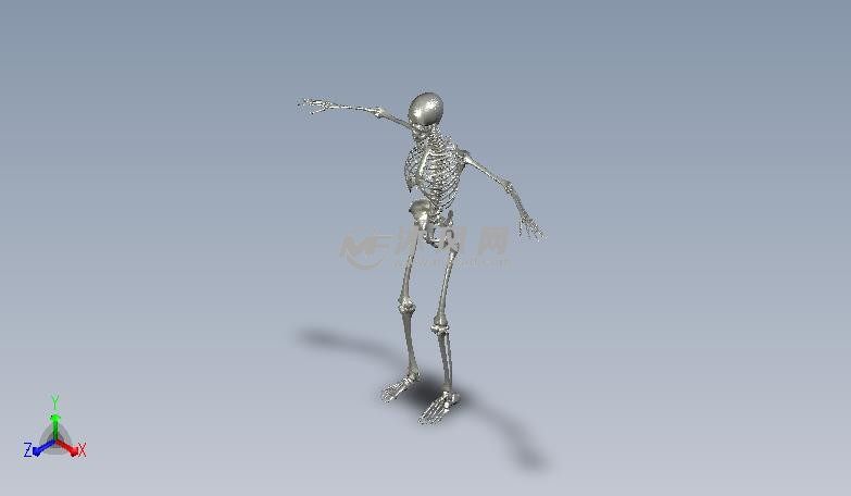 人体骨架轴测图