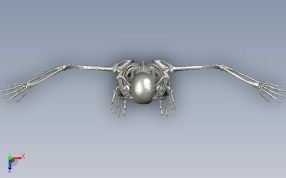 人体骨架俯视图