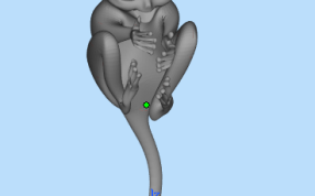 铅笔装饰正面图