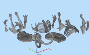 猛犸象骨骼零件图