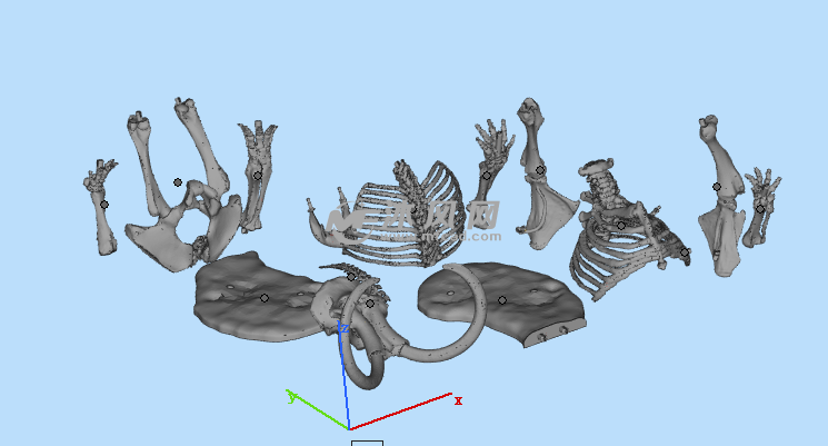 猛犸象骨骼零件图
